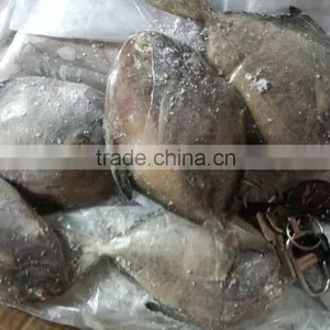 Frozen Seafood thumbnail-1