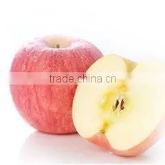 Top Quality Fresh Red Fuji Apple thumbnail-6