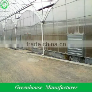 Multi Span Agricultural Greenhouses thumbnail-1
