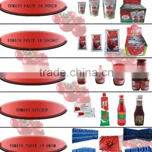 High Lycopene Tomato Paste in Can thumbnail-1