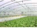 Cheap Agriculture Film thumbnail-1
