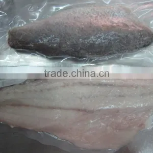 Frozen Barramundi Fillet thumbnail-3