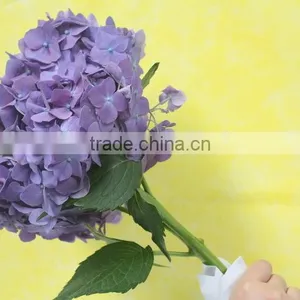Elegant in Smell Top Sell Indoor Decoration Flower of Hydrangea thumbnail-2