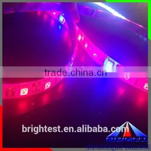 IP65 Soft Glue Led Grow Strip, 5050 Led Grow Strip Plant, Smd3528 Led Grow Strip Light thumbnail-4