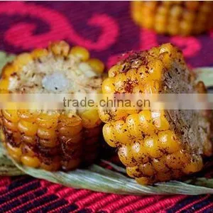 Healthy Food Use Nut Meat Fish Chicken Duck Roasting Machine thumbnail-6