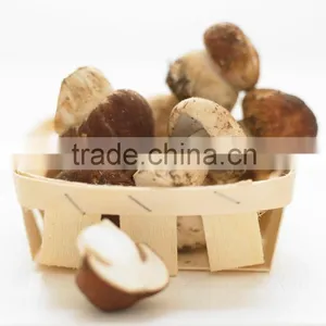 Polish Wild Dried King Bolete Mushrooms thumbnail-4