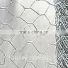 2" Gal. Chicken Netting thumbnail-1