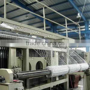 Hexagonal Wire Net Made in China Express thumbnail-2