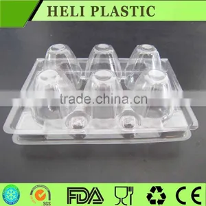 Plastic Quail Egg Tray thumbnail-1