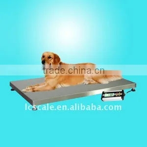Pet Scale / Veterinary Scale thumbnail-1