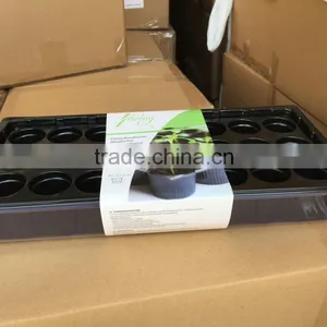 24 Cell Small Propagator Set thumbnail-1