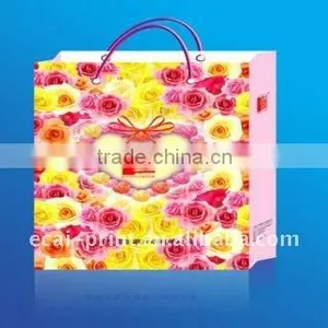 Shopping Bags thumbnail-1