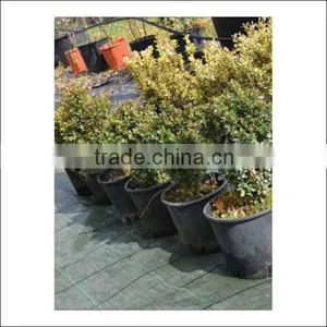 2014 Hot Sale Weeds Netting for Weed Control thumbnail-1