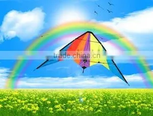 Dual Line Delta Stunt Kites - Straight Edge Kites thumbnail-1