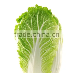 2016 New Corp Seasoned Big Chinese Cabbage Best Quality Fresh Cabbage thumbnail-3