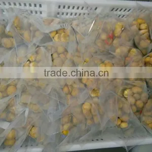 Supplier of Peeled Chestnut From Shandong Export to All Market thumbnail-4