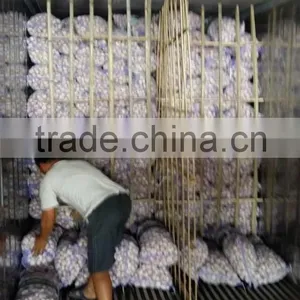 China Normal White Fresh Garlic for Hot Selling thumbnail-6