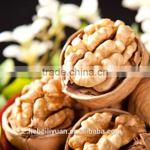 Xinjiang Walnut thumbnail-1
