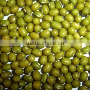 Hot Split Green Mung Bean From Vietnam With Best Price thumbnail-1
