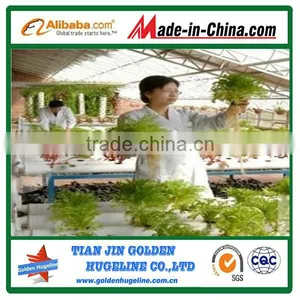 Perlite Expanded(1-3mm 2-4mm3-6mm4-8mm) for Agriculture thumbnail-1