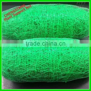 High Quality PE Plant Support Net thumbnail-2