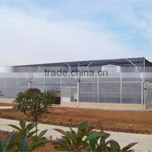 Long Life Service and Hot Galvanized Steel Agriculture Greenhouse thumbnail-3