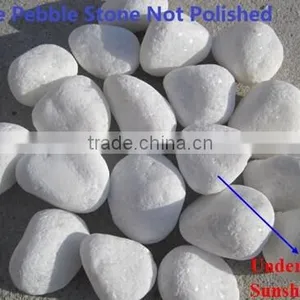 Snow White Pebble thumbnail-3