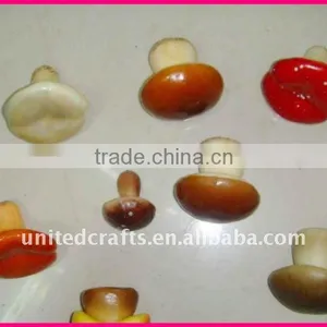 NEW ARRIVAL---2011 New Design Most Popular Natural Vegetable Salad Decoration thumbnail-1