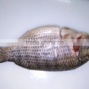 Tilapia/pangasius/swai Fish/ Basa Fish/ Mackerel/ Sardine/ Hilsha/ Rohu/fish/catfish/pomfret/tuna/round Scad/ Tilapia/ thumbnail-2