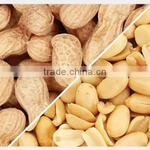Arachis Oil thumbnail-3