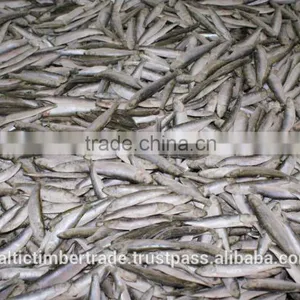 IQF Frozen Sprats, Frozen Anchovy Fish thumbnail-2