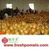 Zhangzhou Youduoduo Fruit Co.,ltd. company overview - view 1 thumbnail