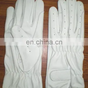 Horse Riding Gloves thumbnail-1