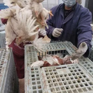 Plastic Crates for Poultry Transportation and Egg Transportation thumbnail-3