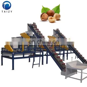 Automatic Nut Cracker Jujube Hazelnut Production Line Almond Processing Line Almond Cracking Machine thumbnail-3