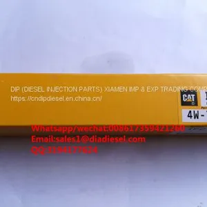 Best Quiality With Best Price Diesel Engine Fuel Inejctor CAT 4W7018 Pencil Nozzle 4W7018 for 3406, 3408, 3412 for Sale thumbnail-2