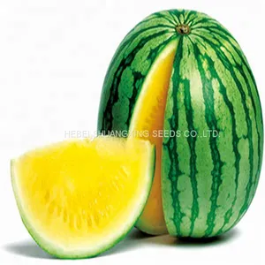 Golden Orchid Small Seedless Yellow Flesh Watermelon Seeds thumbnail-1