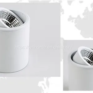 Surface Adjustable COB LED Down Lights (12W) thumbnail-3