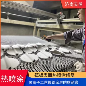 Surface Repair of Tianmeng Raft by Plasma Spraying, Nickel Aluminum Coating, Anti-corrosion and Wear-resistant Coating, Thermal Spraying Processing thumbnail-3