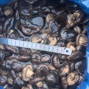 Shiitake in Brine, Brined Mushrooms, Edible Fungi, Lentinus Edodes, Cleanning thumbnail-1