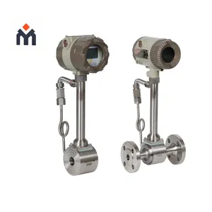 Industrial Digital Gas Vortex Flow Meter thumbnail-5