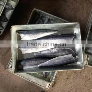 Frozen Spanish Mackerel Fillet in Carton IQF thumbnail-4