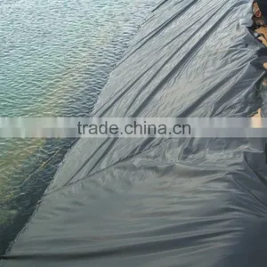 Shrimp Farming Film thumbnail-1
