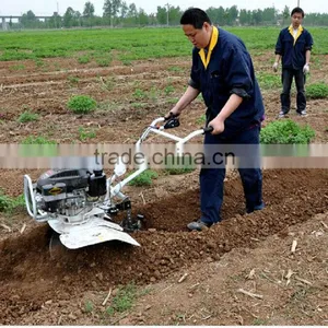 Banana Cultivation Tractor Chisel Plough Garden Ploughs Rotary Plough for Walking Tractor thumbnail-2