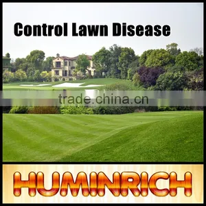 Huminrich Shenyang 2-4mm Granulated Humic Acid Fertilizer From Coal thumbnail-2