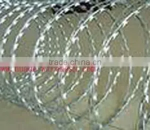 Concertina Wire thumbnail-1