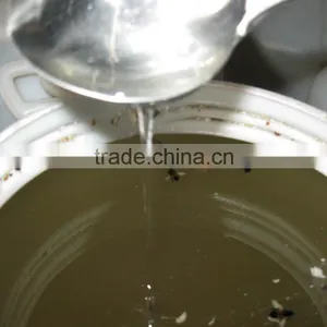 HONEY thumbnail-1