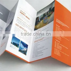 Flyer, Booklets, a5 Brohure, Catalogue Printing thumbnail-1