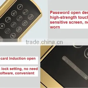 Biometric Keypad Fingerprint Door Lock Remote Control Electric Glass Door Lock thumbnail-2