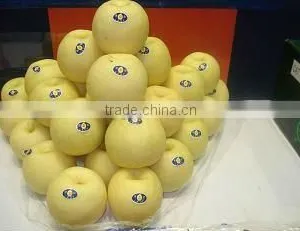 Taste Best Fresh Golded Pear(white Colour) thumbnail-1